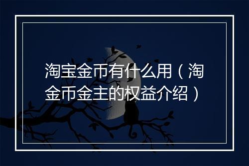 淘宝金币有什么用（淘金币金主的权益介绍）