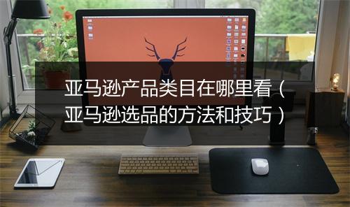 亚马逊产品类目在哪里看（亚马逊选品的方法和技巧）