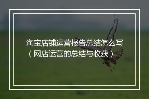 淘宝店铺运营报告总结怎么写（网店运营的总结与收获）