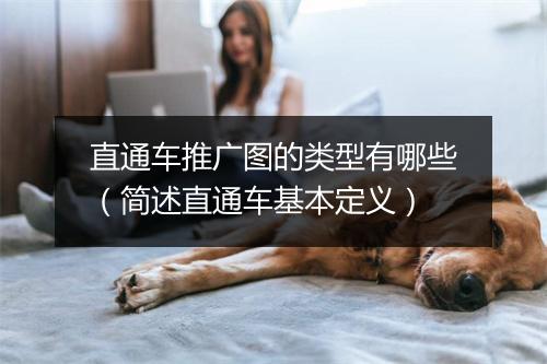 直通车推广图的类型有哪些（简述直通车基本定义）