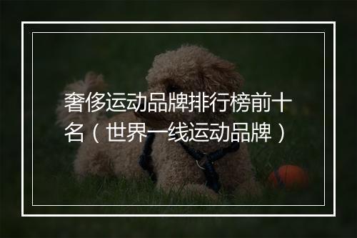 奢侈运动品牌排行榜前十名（世界一线运动品牌）
