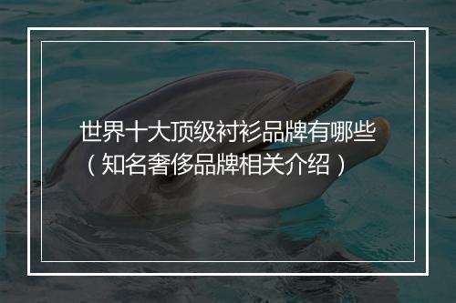 世界十大顶级衬衫品牌有哪些（知名奢侈品牌相关介绍）