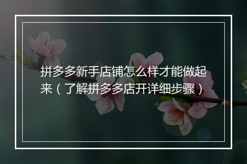 拼多多新手店铺怎么样才能做起来（了解拼多多店开详细步骤）