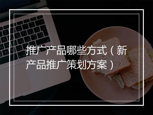 推广产品哪些方式（新产品推广策划方案）