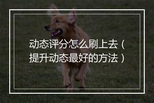 动态评分怎么刷上去（提升动态最好的方法）