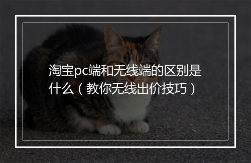 淘宝pc端和无线端的区别是什么（教你无线出价技巧）