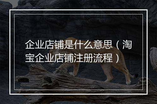 企业店铺是什么意思（淘宝企业店铺注册流程）