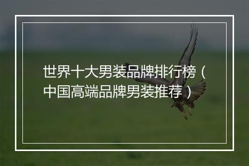 世界十大男装品牌排行榜（中国高端品牌男装推荐）