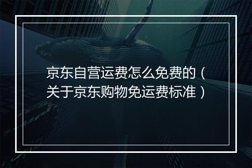 京东自营运费怎么免费的（关于京东购物免运费标准）