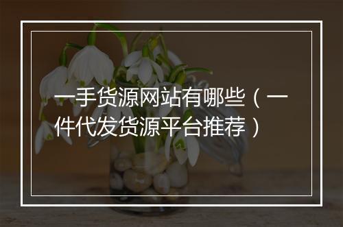 一手货源网站有哪些（一件代发货源平台推荐）