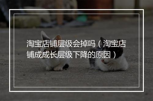 淘宝店铺层级会掉吗（淘宝店铺成成长层级下降的原因）