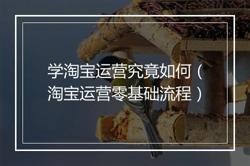 学淘宝运营究竟如何（淘宝运营零基础流程）