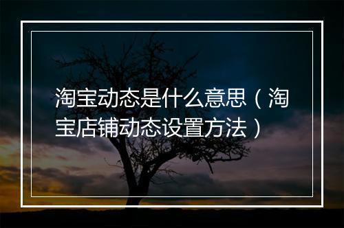 淘宝动态是什么意思（淘宝店铺动态设置方法）