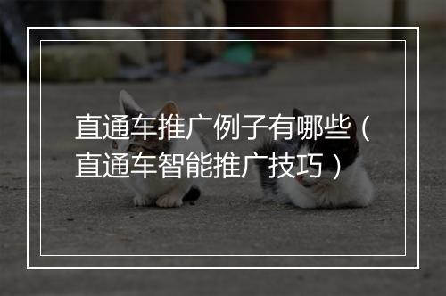 直通车推广例子有哪些（直通车智能推广技巧）