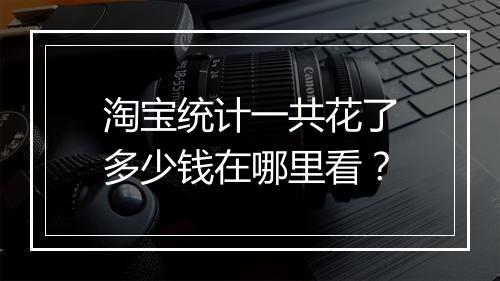 淘宝统计一共花了多少钱在哪里看？