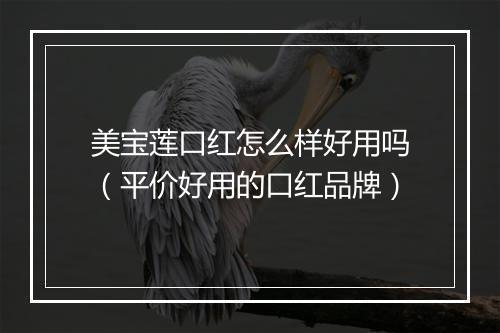 美宝莲口红怎么样好用吗（平价好用的口红品牌）
