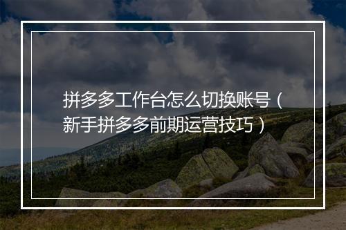 拼多多工作台怎么切换账号（新手拼多多前期运营技巧）