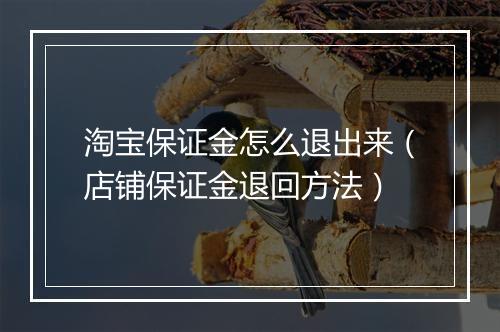 淘宝保证金怎么退出来（店铺保证金退回方法）
