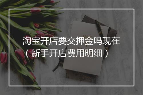 淘宝开店要交押金吗现在（新手开店费用明细）