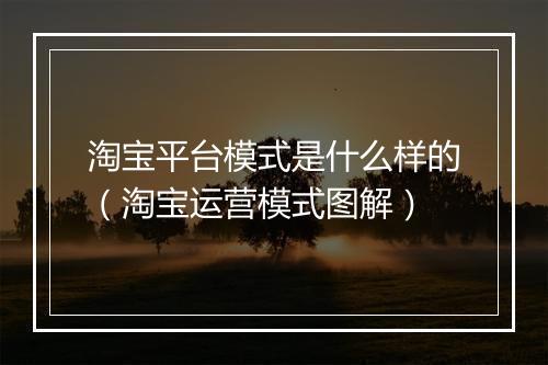 淘宝平台模式是什么样的（淘宝运营模式图解）