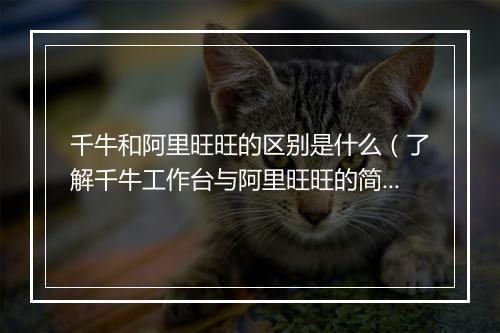 千牛和阿里旺旺的区别是什么（了解千牛工作台与阿里旺旺的简介）