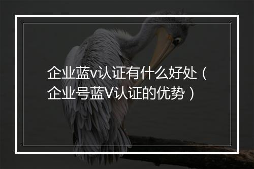 企业蓝v认证有什么好处（企业号蓝V认证的优势）