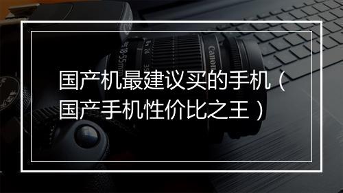国产机最建议买的手机（国产手机性价比之王）