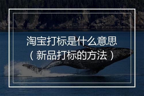 淘宝打标是什么意思（新品打标的方法）