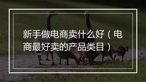 新手做电商卖什么好（电商最好卖的产品类目）