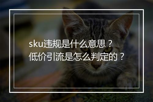 sku违规是什么意思？低价引流是怎么判定的？