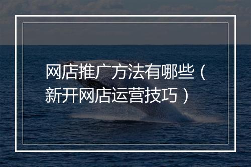 网店推广方法有哪些（新开网店运营技巧）