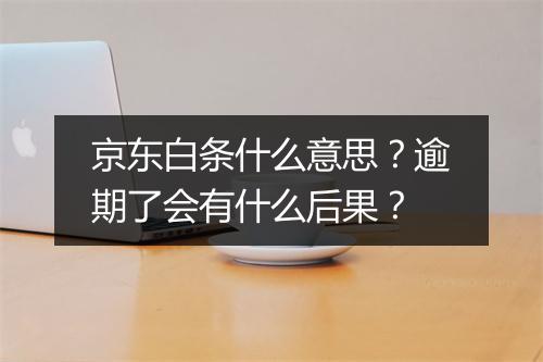 京东白条什么意思？逾期了会有什么后果？