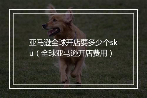 亚马逊全球开店要多少个sku（全球亚马逊开店费用）