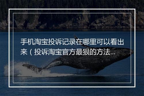 手机淘宝投诉记录在哪里可以看出来（投诉淘宝官方最狠的方法）