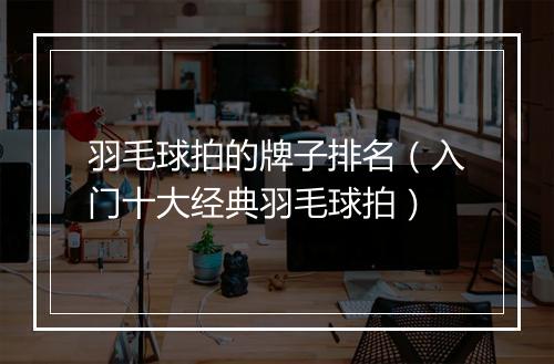 羽毛球拍的牌子排名（入门十大经典羽毛球拍）