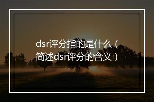 dsr评分指的是什么（简述dsr评分的含义）