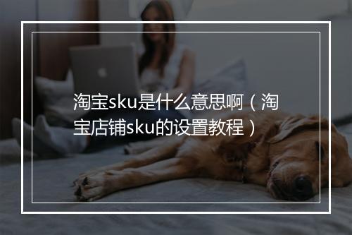 淘宝sku是什么意思啊（淘宝店铺sku的设置教程）