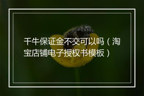 千牛保证金不交可以吗（淘宝店铺电子授权书模板）