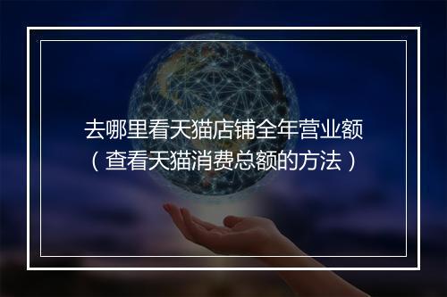 去哪里看天猫店铺全年营业额（查看天猫消费总额的方法）