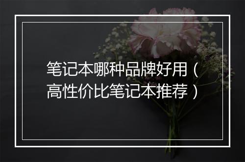 笔记本哪种品牌好用（高性价比笔记本推荐）