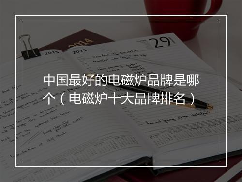 中国最好的电磁炉品牌是哪个（电磁炉十大品牌排名）