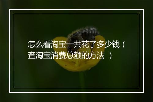 怎么看淘宝一共花了多少钱（查淘宝消费总额的方法 ）