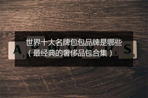 世界十大名牌包包品牌是哪些（最经典的奢侈品包合集）