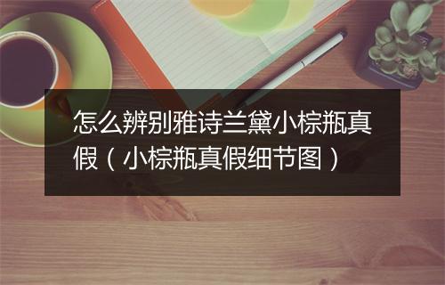 怎么辨别雅诗兰黛小棕瓶真假（小棕瓶真假细节图）