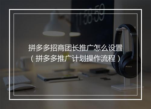 拼多多招商团长推广怎么设置（拼多多推广计划操作流程）