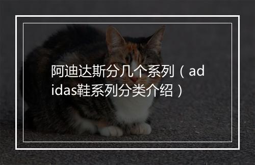 阿迪达斯分几个系列（adidas鞋系列分类介绍）