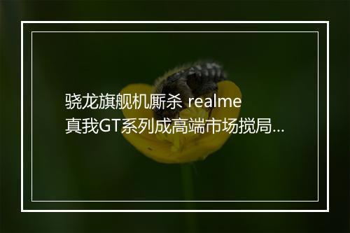 骁龙旗舰机厮杀 realme 真我GT系列成高端市场搅局者