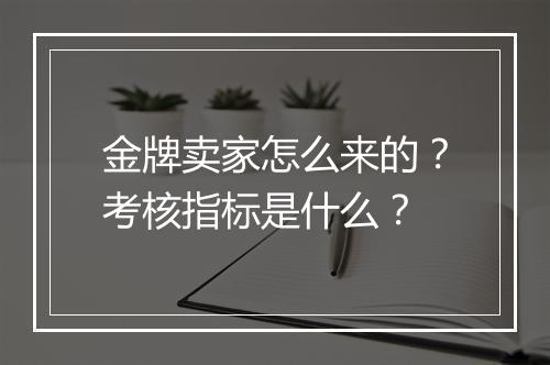 金牌卖家怎么来的？考核指标是什么？