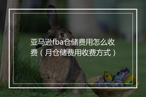 亚马逊fba仓储费用怎么收费（月仓储费用收费方式）
