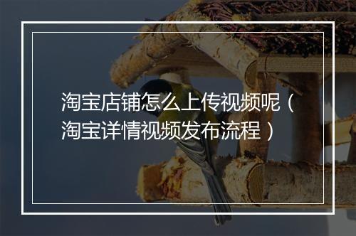淘宝店铺怎么上传视频呢（淘宝详情视频发布流程）